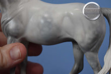 Load image into Gallery viewer, Witucki-OOAK Matte Pebbles Arabian-XFCM-Peter Stone