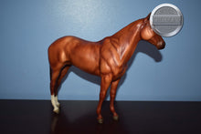 Load image into Gallery viewer, Prancer-Saddle Club-Boyla Mold-Breyer Traditional