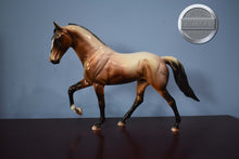 Load image into Gallery viewer, Tabernash-Glossy Judges Model-Tennessee Walking Horse Mold-Peter Stone