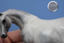 Load image into Gallery viewer, Witucki-OOAK Matte Pebbles Arabian-XFCM-Peter Stone