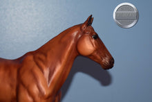 Load image into Gallery viewer, Prancer-Saddle Club-Boyla Mold-Breyer Traditional