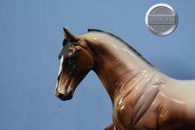Load image into Gallery viewer, Tabernash-Glossy Judges Model-Tennessee Walking Horse Mold-Peter Stone