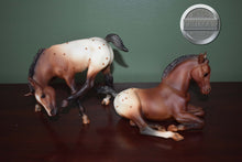 Load image into Gallery viewer, Buster and Brandi-Lying Foal and Scratching Foal Mold-Breyer Traditional