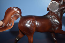 Load image into Gallery viewer, Malik-BODY Condition-Breyer Classic