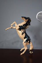 Load image into Gallery viewer, Neva-Holiday Exclusive-American Dream Mold-Breyer Classic