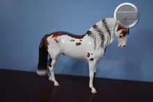 Load image into Gallery viewer, Tinsel-LE of 30-Glossy-Andalusian Mold-Peter Stone