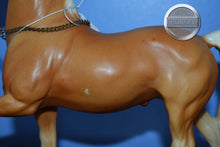 Load image into Gallery viewer, Cheyenne-Western Prancer BODY-Breyer Traditional