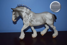 Load image into Gallery viewer, Benelli-Matte Version-Breyerfest Exclusive-Shire Gelding Mold-Breyer Traditional