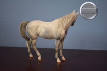 Load image into Gallery viewer, Witucki-OOAK Matte Pebbles Arabian-XFCM-Peter Stone