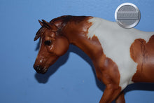 Load image into Gallery viewer, Can&#39;t Hold Us Down-BENT LEG-Breyerfest Exclusive-Indian Pony Mold-Breyer Traditional