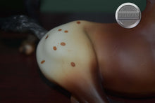 Load image into Gallery viewer, Buster and Brandi-Lying Foal and Scratching Foal Mold-Breyer Traditional