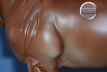 Load image into Gallery viewer, Rhenish Draft #2-Matte Version-Breyerfest Exclusive-Georg Mold-Breyer Traditional