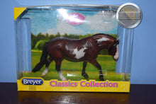 Load image into Gallery viewer, Bay Pinto Mare-New in Box-Haflinger Mare Mold-Breyer Classic
