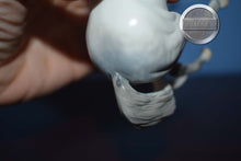 Load image into Gallery viewer, Witucki-OOAK Matte Pebbles Arabian-XFCM-Peter Stone