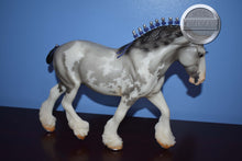 Load image into Gallery viewer, Benelli-Matte Version-Breyerfest Exclusive-Shire Gelding Mold-Breyer Traditional