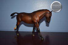 Load image into Gallery viewer, Hunter Show Pony-Cantering Welsh Pony Mold-Breyer Traditional