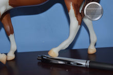 Load image into Gallery viewer, Can&#39;t Hold Us Down-BENT LEG-Breyerfest Exclusive-Indian Pony Mold-Breyer Traditional
