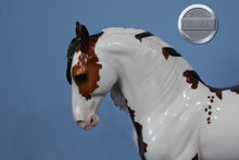 Load image into Gallery viewer, Tinsel-LE of 30-Glossy-Andalusian Mold-Peter Stone