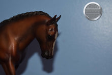 Load image into Gallery viewer, Hunter Show Pony-Cantering Welsh Pony Mold-Breyer Traditional