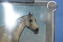 Load image into Gallery viewer, Breeze-New in Box-Ideal Stock Horse-Peter Stone