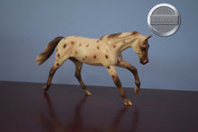 Load image into Gallery viewer, UNKNOWN NAME-Appaloosa Pebbles Stockhorse-Peter Stone