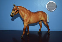 Load image into Gallery viewer, Glossy Palomino-Quarter Horse Gelding Mold-Breyer Traditional