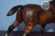 Load image into Gallery viewer, Hunter Show Pony-Cantering Welsh Pony Mold-Breyer Traditional