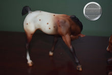 Load image into Gallery viewer, Buster and Brandi-Lying Foal and Scratching Foal Mold-Breyer Traditional