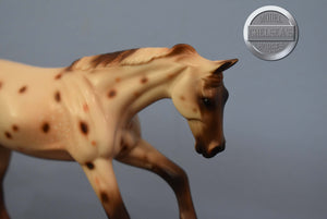 UNKNOWN NAME-Appaloosa Pebbles Stockhorse-Peter Stone