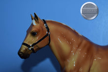 Load image into Gallery viewer, Glossy Palomino-Quarter Horse Gelding Mold-Breyer Traditional