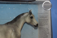 Load image into Gallery viewer, Breeze-New in Box-Ideal Stock Horse-Peter Stone