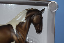 Load image into Gallery viewer, Fountainebleau-Breyerfest Exclusive-Keltic Salinero Mold-Breyer Traditional