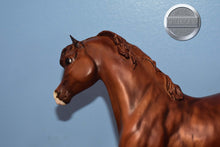 Load image into Gallery viewer, Jingles-Black Stallion Mold-Breyer Traditional