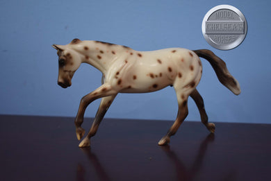 UNKNOWN NAME-Appaloosa Pebbles Stockhorse-Peter Stone