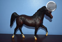 Load image into Gallery viewer, Ofir Sire of Witez II-Black Stallion Mold-Breyer Traditional