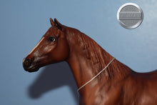 Load image into Gallery viewer, Sgt Reckless-Galiceno Mold-Breyer Traditional
