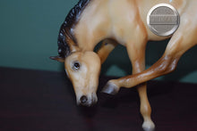 Load image into Gallery viewer, Buttercup-Scratching Foal Mold-Breyer Traditional