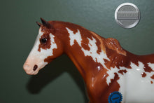 Load image into Gallery viewer, Roman-Vintage Club Exclusive-HORSE ONLY-San Domingo Mold-Breyer Traditional