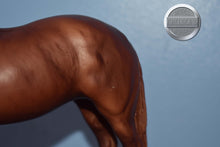Load image into Gallery viewer, Sgt Reckless-Galiceno Mold-Breyer Traditional