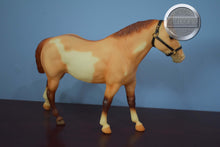 Load image into Gallery viewer, Dun Sabino from Three Pintos Set-Quarter Horse Gelding Mold-Breyer Traditional