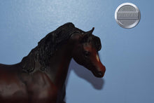 Load image into Gallery viewer, Ofir Sire of Witez II-Black Stallion Mold-Breyer Traditional