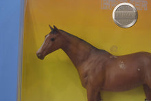 Load image into Gallery viewer, Touch of Class-New in Box-Touch of Class Mold-Breyer Traditional