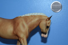 Load image into Gallery viewer, Party Shoes-Cantering Welsh Pony Mold-Breyer Traditional