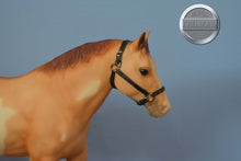 Load image into Gallery viewer, Dun Sabino from Three Pintos Set-Quarter Horse Gelding Mold-Breyer Traditional
