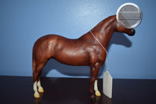 Load image into Gallery viewer, Sgt Reckless-Galiceno Mold-Breyer Traditional