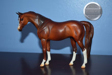 Load image into Gallery viewer, UNKNOWN NAME-Chestnut Matte Pebbles Arabian-Peter Stone