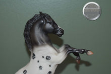 Load image into Gallery viewer, Crane-Halloween Exclusive-HTF-Rearing Mustang-Breyer Classic