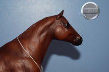 Load image into Gallery viewer, Sgt Reckless-Galiceno Mold-Breyer Traditional