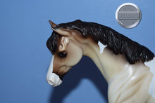 Load image into Gallery viewer, Cloud of Mist-Jamboree Exclusive-Pony Mold-Peter Stone