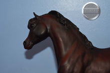 Load image into Gallery viewer, Ofir Sire of Witez II-Black Stallion Mold-Breyer Traditional